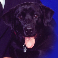 Tammy (1998 – 2008)