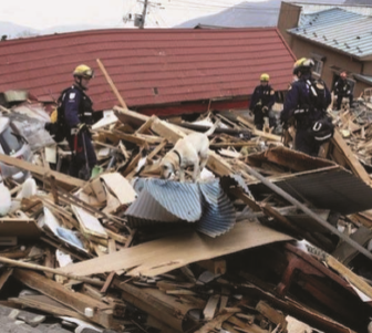 In a battered Japan, SDF dogs search for human survivors