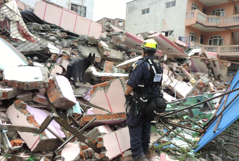 SDF salutes canine teams combing Nepal wreckage for survivors