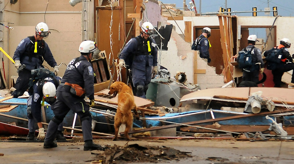 Santa Maria shelter dogs part of Oklahoma rescue