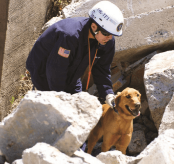 Rescue dogs get disaster training in Tulsa, OK
