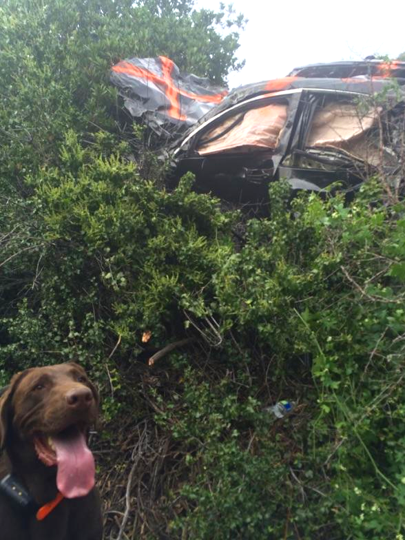 Car plunges off cliff near Mt. Baldy, California