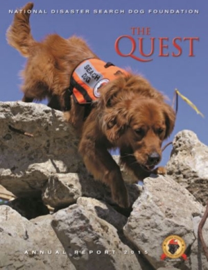 The Quest 2015 cover