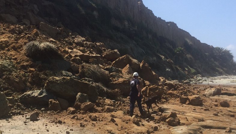 Sarge & Aide Barbat search below the bluffs in Del Mar, CA.