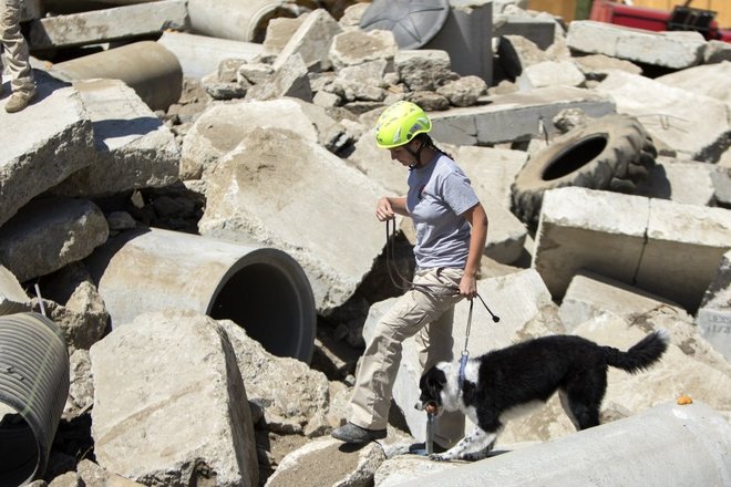 Seabees reservists help build Search Dog training area in Santa Paula