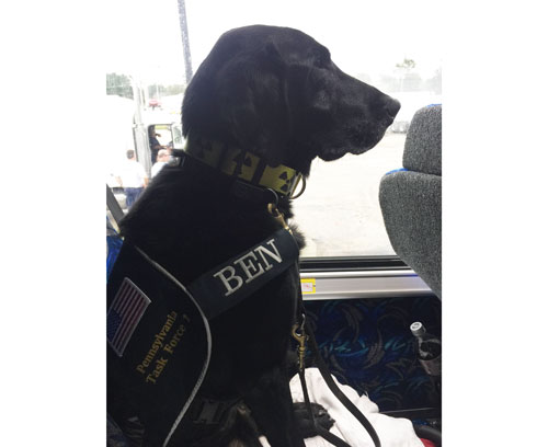 Search Dog Ben deploying to Hurricane Matthew