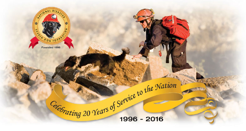 Celebrating 20 Years of Service to the Nation