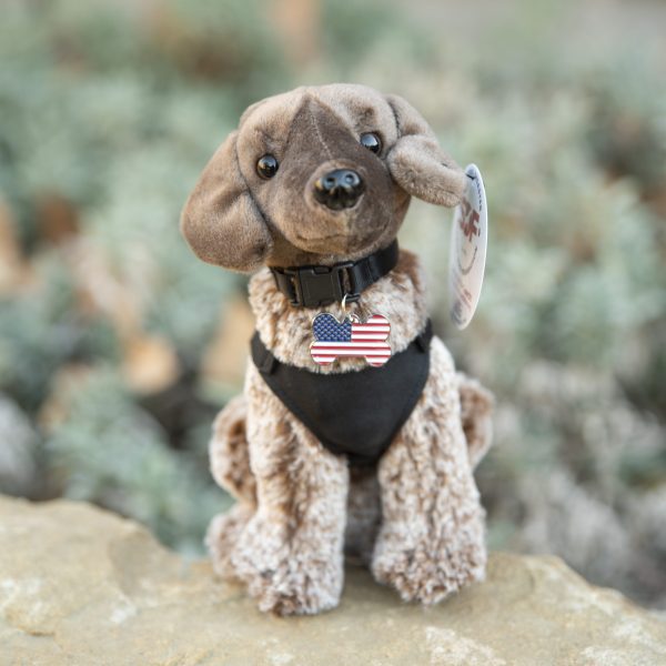 German Shorthaired Pointer