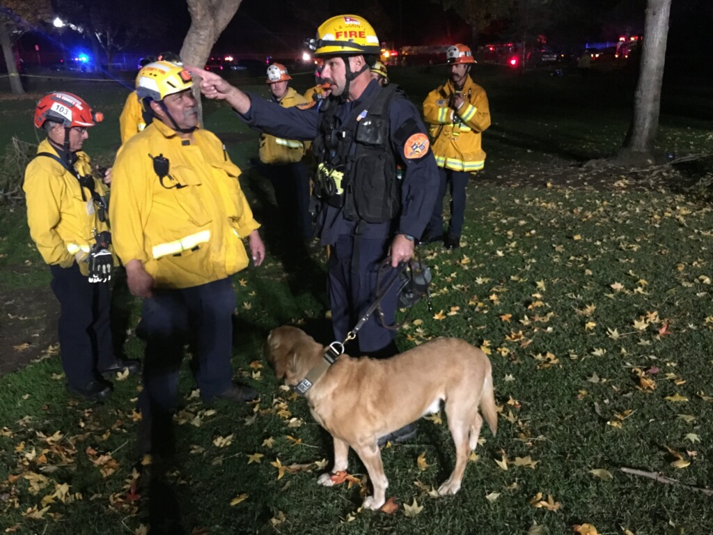 SDF Teams search after tree falls on crowd in Whittier, CA