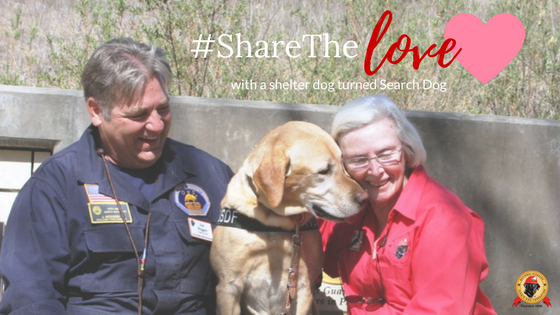 #ShareTheLove with a shelter dog turned Search Dog this month!
