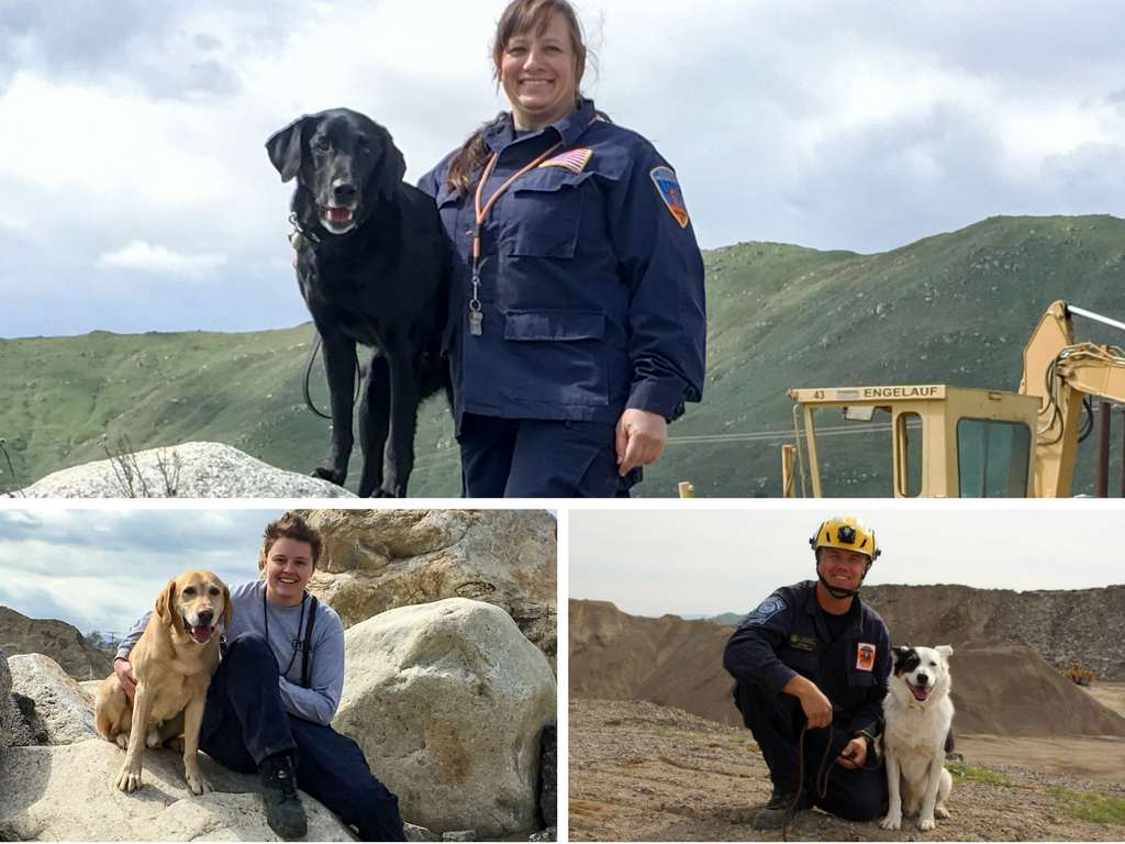 SDF-trained Canine Disaster Search Teams achieve FEMA Re-Certification