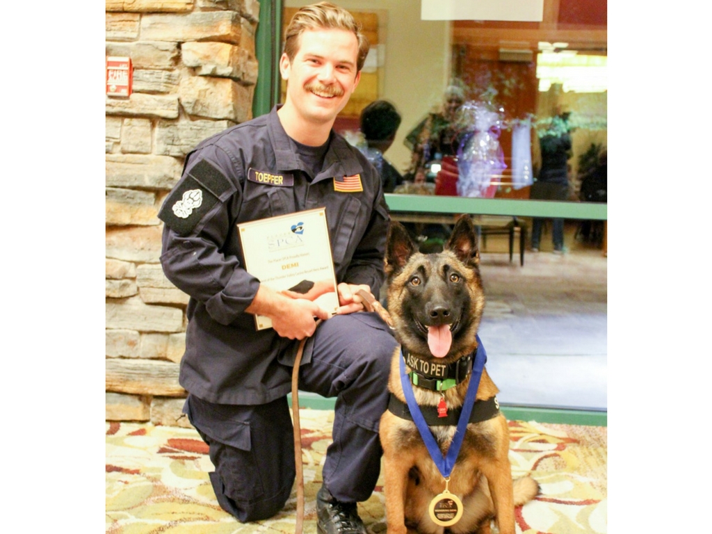 Homeless to Hero: Search Dog Demi Honored with Hero Award