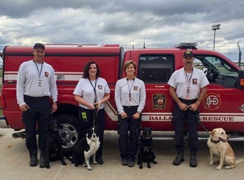 SDF-trained Search Teams in New York and Texas staged for deployment this week