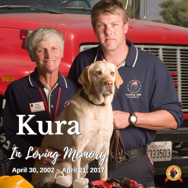 In Loving Memory of Kura, 2002 – 2017