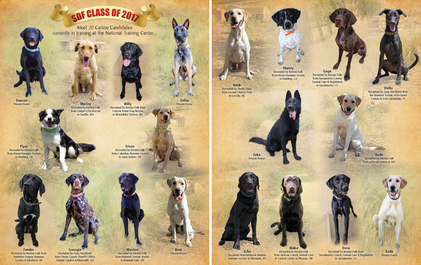 Meet Our 20 Canine Recruits In Training!