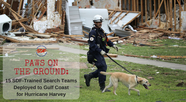 15 SDF-Trained Search Teams Deployed to Aftermath of Hurricane Harvey
