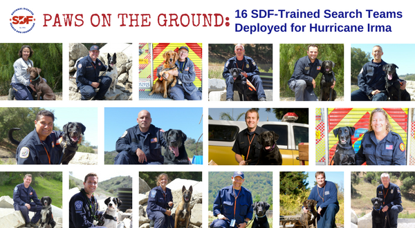 16 SDF-Trained Canine Disaster Search Teams Deploy to Florida in Preparation for Hurricane Irma