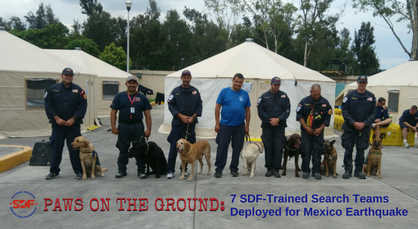 7 SDF Search Teams Respond to Mexico City After Deadly Earthquake