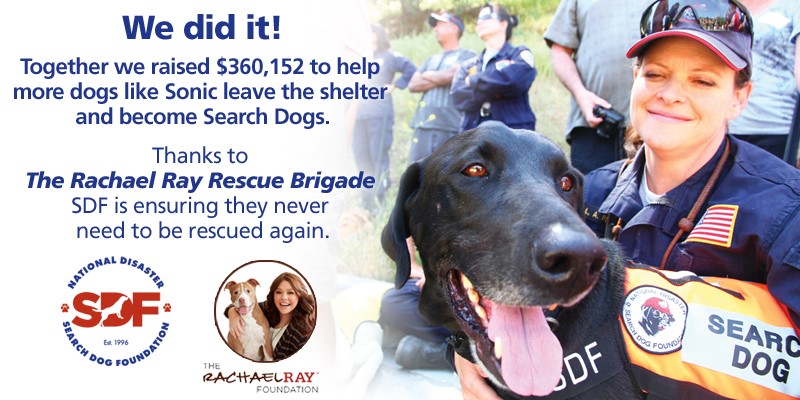 Rachael Ray’s Rescue Brigade