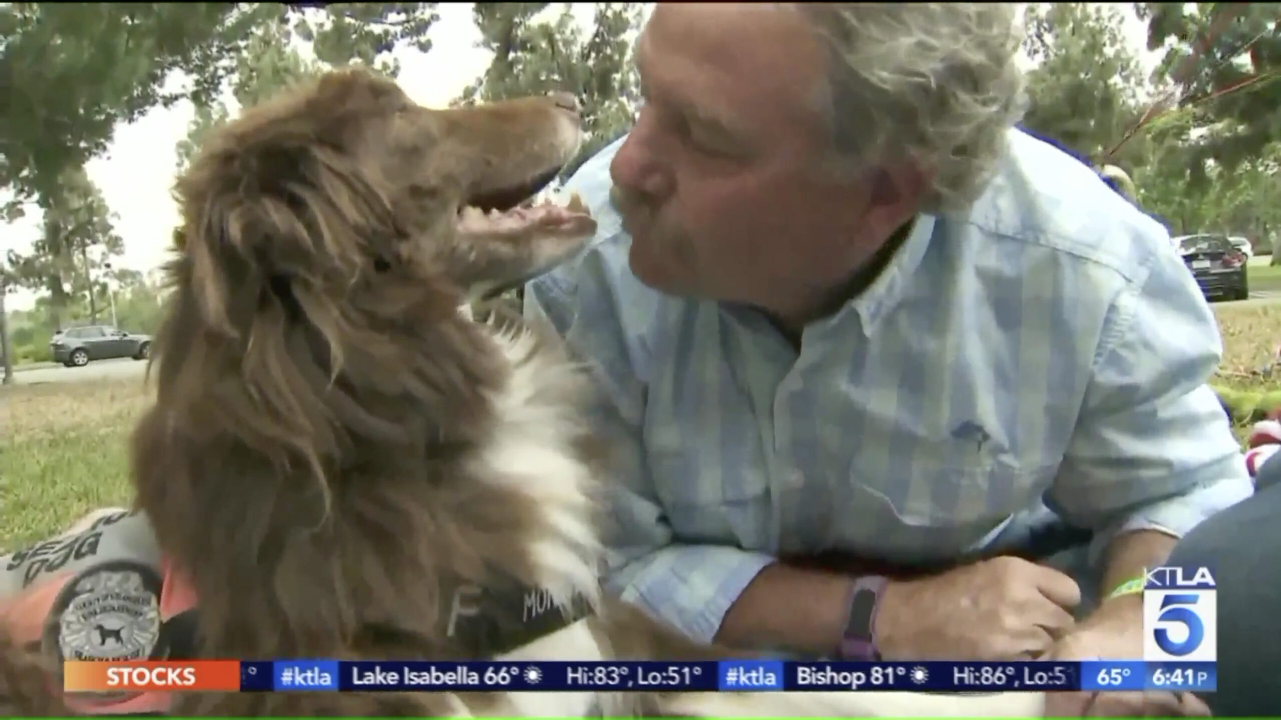 Hunter the dog was honored with a hero’s farewell for helping to search for and rescue numerous people