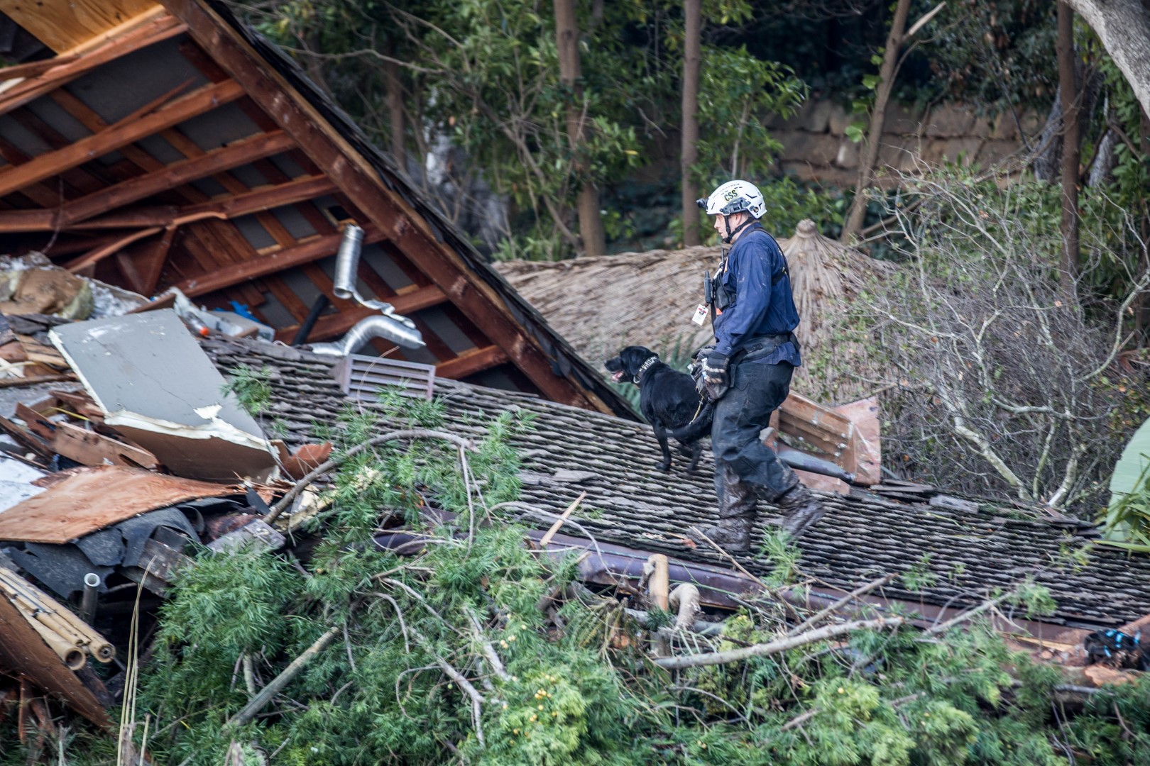 SDF-Trained Search Teams Assist After Deadly California Mudslides