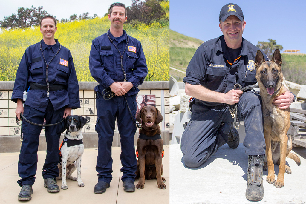 3 New Search Teams Join the SDF Roster!