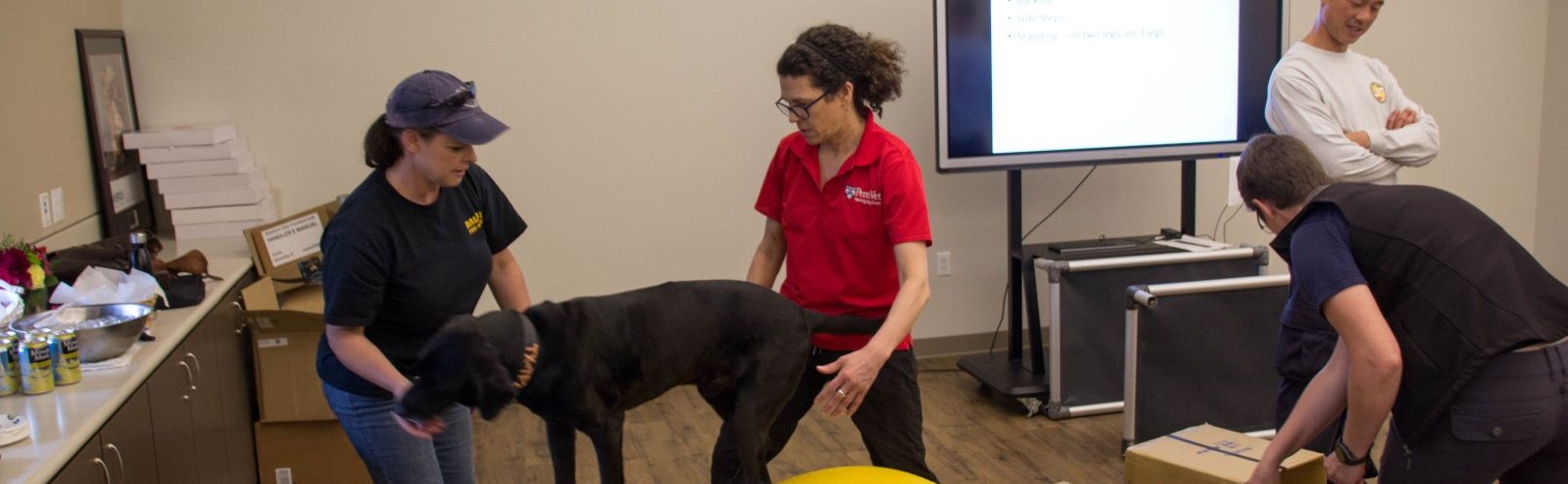 SDF Hosts Canine Wellness Workshop at NTC