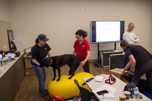SDF Hosts Canine Wellness Workshop at NTC