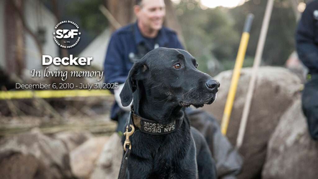 Decker (2010 - 2025)