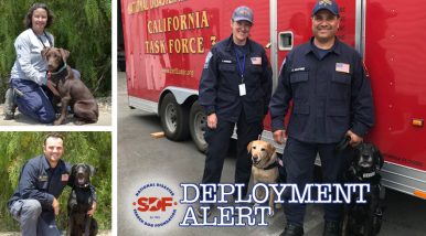 3 SDF-trained Canine Disaster Search Teams deployed for Hurricane Lane