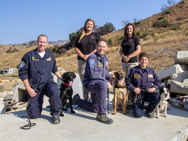 Meet SDF’s 3 Newest Search Teams!