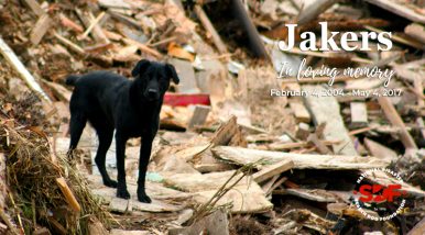 Jakers (2004 – 2017)