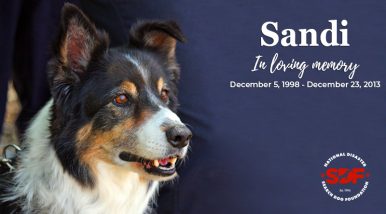 Sandi (2001 – 2013)