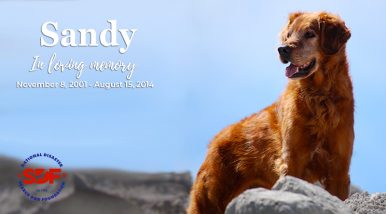 Sandy (2001 – 2014)