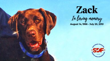 Zack (1996 – 2010)