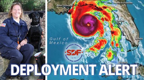 SDF Search Team deploys to Hurricane Michael, ranked among the top most-powerful hurricanes to hit the US