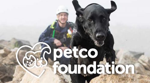 Search Dog Jake is featured as part of the Petco Foundation’s “Helping Heroes” campaign