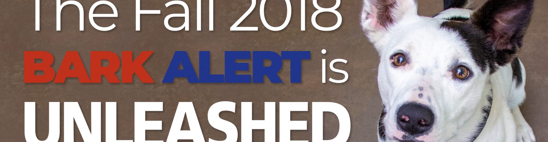 The Fall 2018 Bark Alert is Unleashed!