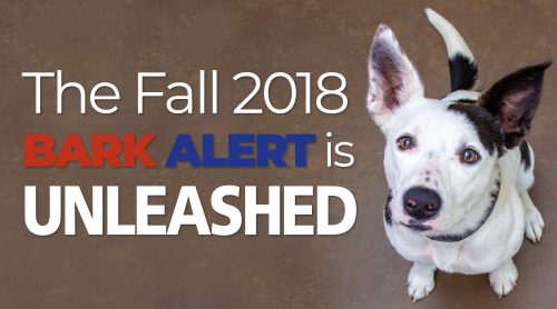 The Fall 2018 Bark Alert is Unleashed!
