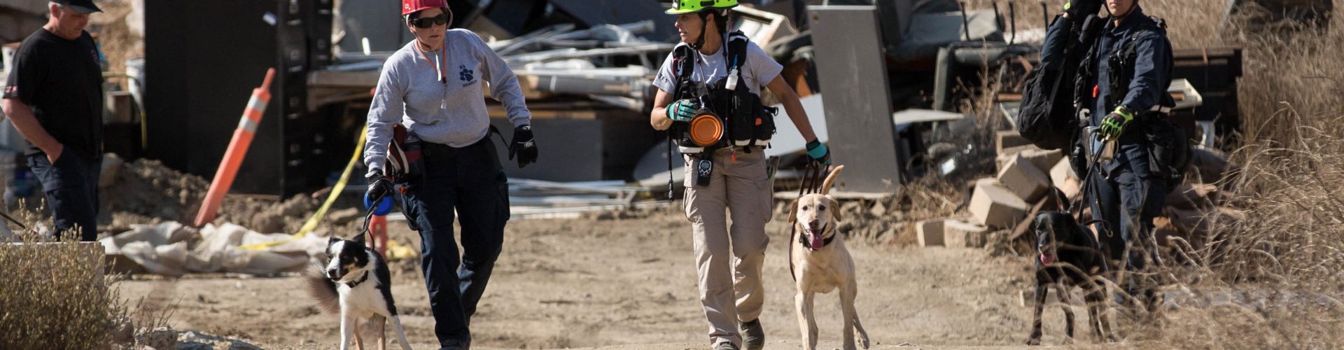 SDF hosted 6 Search Teams for training over the weekend at the NTC