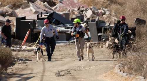 SDF hosted 6 Search Teams for training over the weekend at the NTC