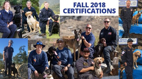 11 SDF Search Teams Achieve Certification!
