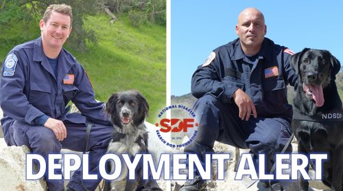 SDF-trained Canine Disaster Search Teams deployed to search for woman missing after bluff collapse