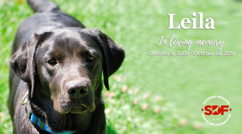 Leila (2008-2019)