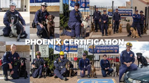 Record 14 SDF-trained Search Teams certify for 100% pass rate in Arizona!