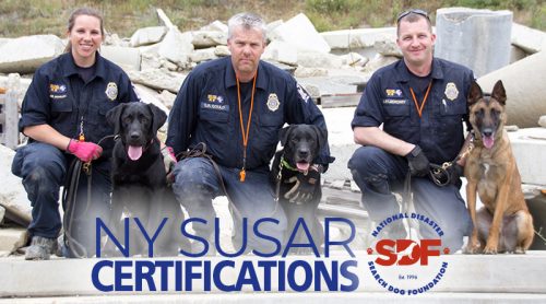 All three New York search teams that participated in the first-ever SUSAR evaluation held at the National Training Center (NTC) passed the test!