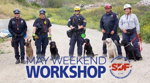 16 search teams attend SDF hosted US&R training workshop in May at NTC
