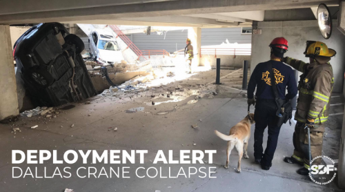 Three Search Teams deployed to construction crane collapse in Dallas, TX