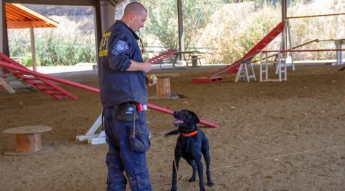 All in the family: Inspiring generations of canine handlers