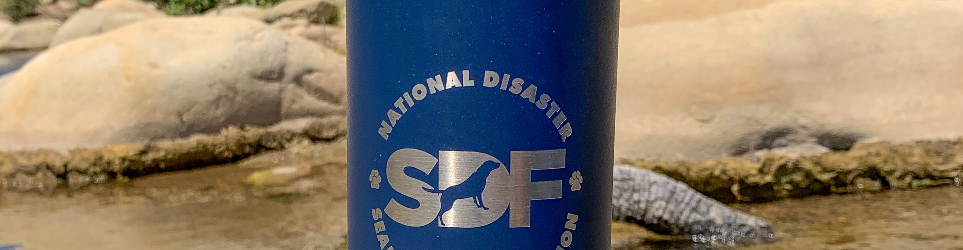 SDF Water Bottle